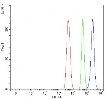Flow cytometry testing of fixed and permeabilized human U-251 cells with MAGEC3 antibody at 1ug/mill