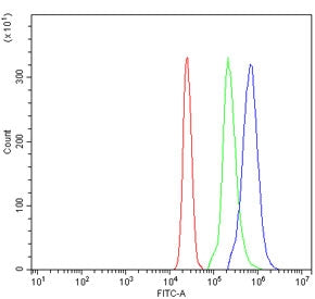 Flow cytometry testing of human U937 cells with CLEC7A antibody at 1ug/million cells (blocked with g