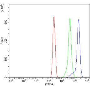 TOMM20-like protein 1 Antibody / TOMM20L