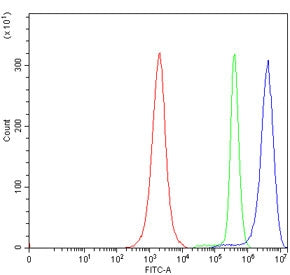 KCNH2 Antibody / ERG-1
