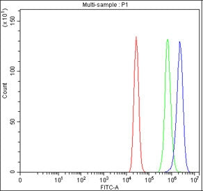 Flow cytometry testing of fixed human MCF7 cells with ADAM2 antibody at 1ug/million cells (blocked w