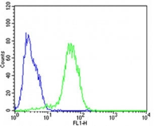EpCAM Antibody