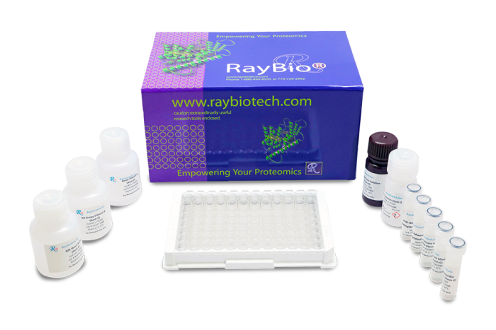 Human TGF-beta 1 ELISA Kit