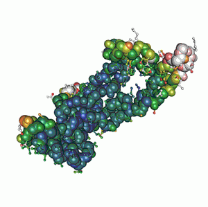 Recombinant Human Ferritin, heavy chain, transfected HEK293 cell lysate