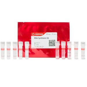 HigherPurity™ Buccal Swab DNA Extraction Kit
