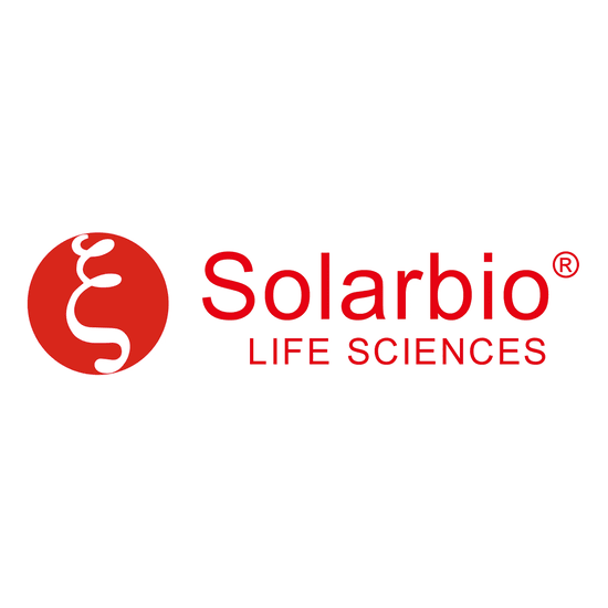 Anti-AKT1/3 Polyclonal Antibody