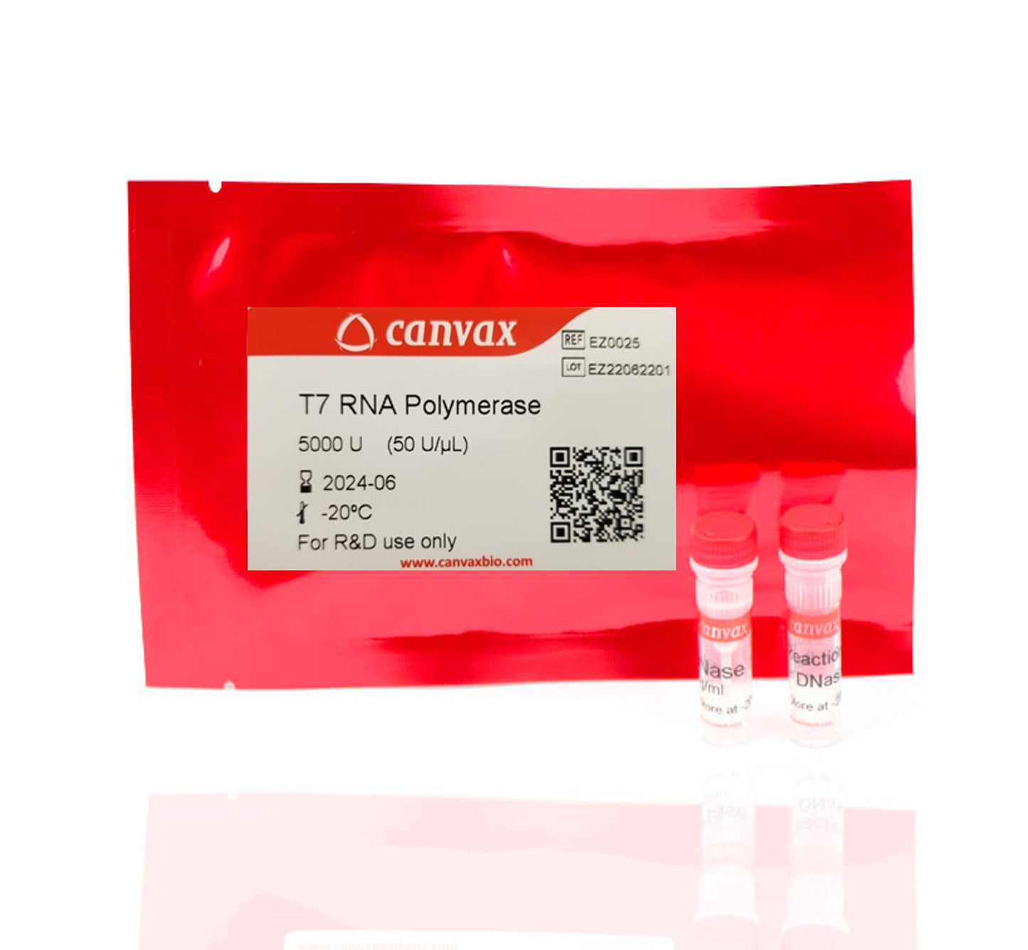 T7 Polymerase (50,000 U/ml)