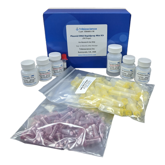 Plasmid DNA Rapidprep Mini Kit