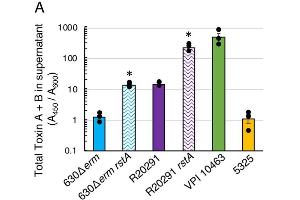Clostridium Difficile Toxin A and B ELISA Kit