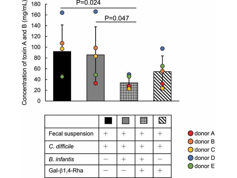 Clostridium Difficile Toxin A and B ELISA Kit