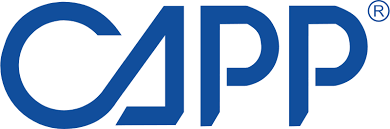 Capp electronic pipette, single channel, 5-100 µl