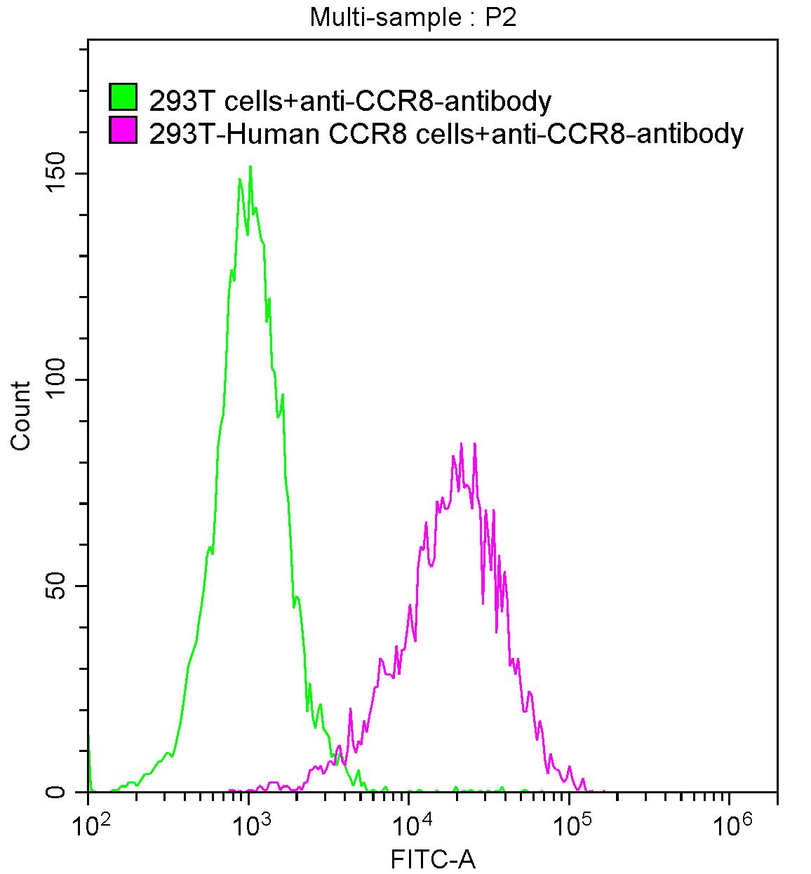 CCR8 Recombinant Monoclonal Antibody