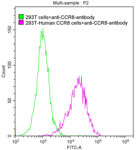 CCR8 Recombinant Monoclonal Antibody