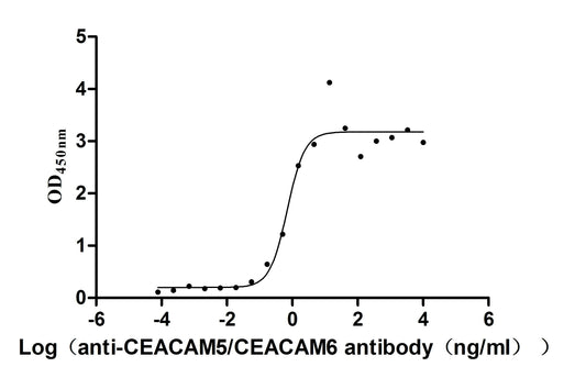 CEACAM5/CEACAM6 Recombinant Monoclonal Antibody