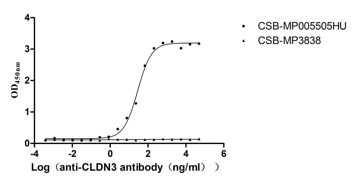 CLDN3 Recombinant Monoclonal Antibody