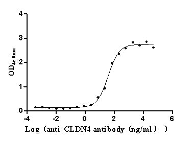 CLDN4 Recombinant Monoclonal Antibody