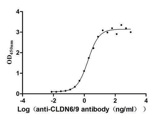 CLDN6/9 Recombinant Monoclonal Antibody