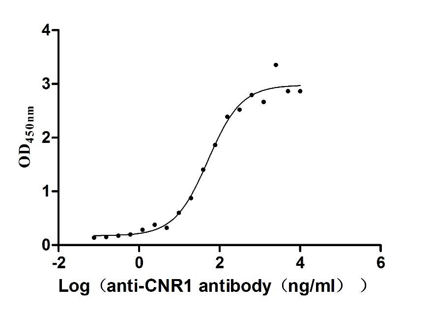 CNR1 Recombinant Monoclonal Antibody