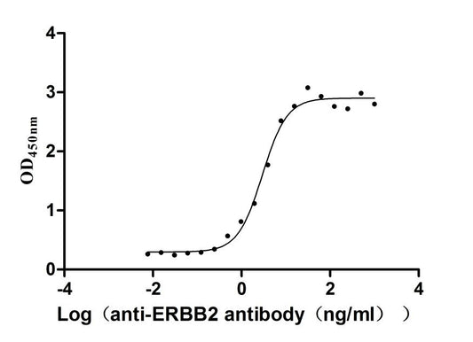 ERBB2 Recombinant Monoclonal Antibody