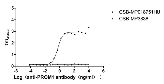 PROM1 Recombinant Monoclonal Antibody