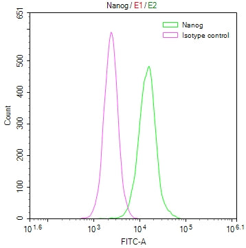 NANOG Recombinant Monoclonal Antibody