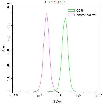 CD59 Recombinant Monoclonal Antibody