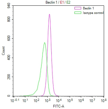 BECN1 Recombinant Monoclonal Antibody