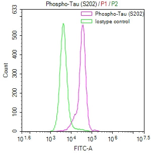 Phospho-MAPT (S202) Recombinant Monoclonal Antibody