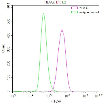 HLA-G Recombinant Monoclonal Antibody