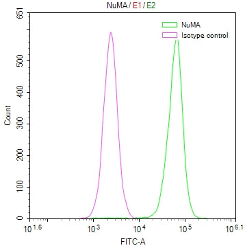 NUMA1 Recombinant Monoclonal Antibody