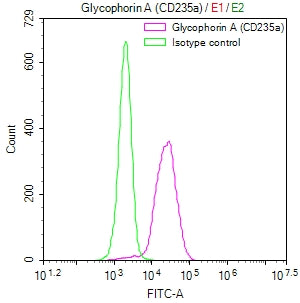 GYPA Recombinant Monoclonal Antibody