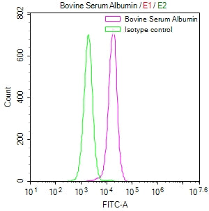 ALB Recombinant Monoclonal Antibody