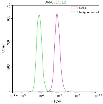 DARC Recombinant Monoclonal Antibody