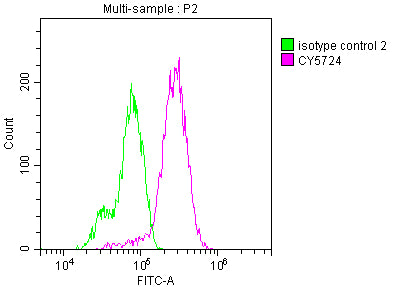 RET Recombinant Monoclonal Antibody