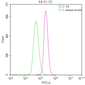 IL8 Recombinant Monoclonal Antibody