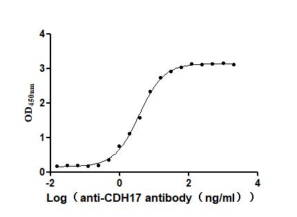 CDH17 Recombinant Monoclonal Antibody