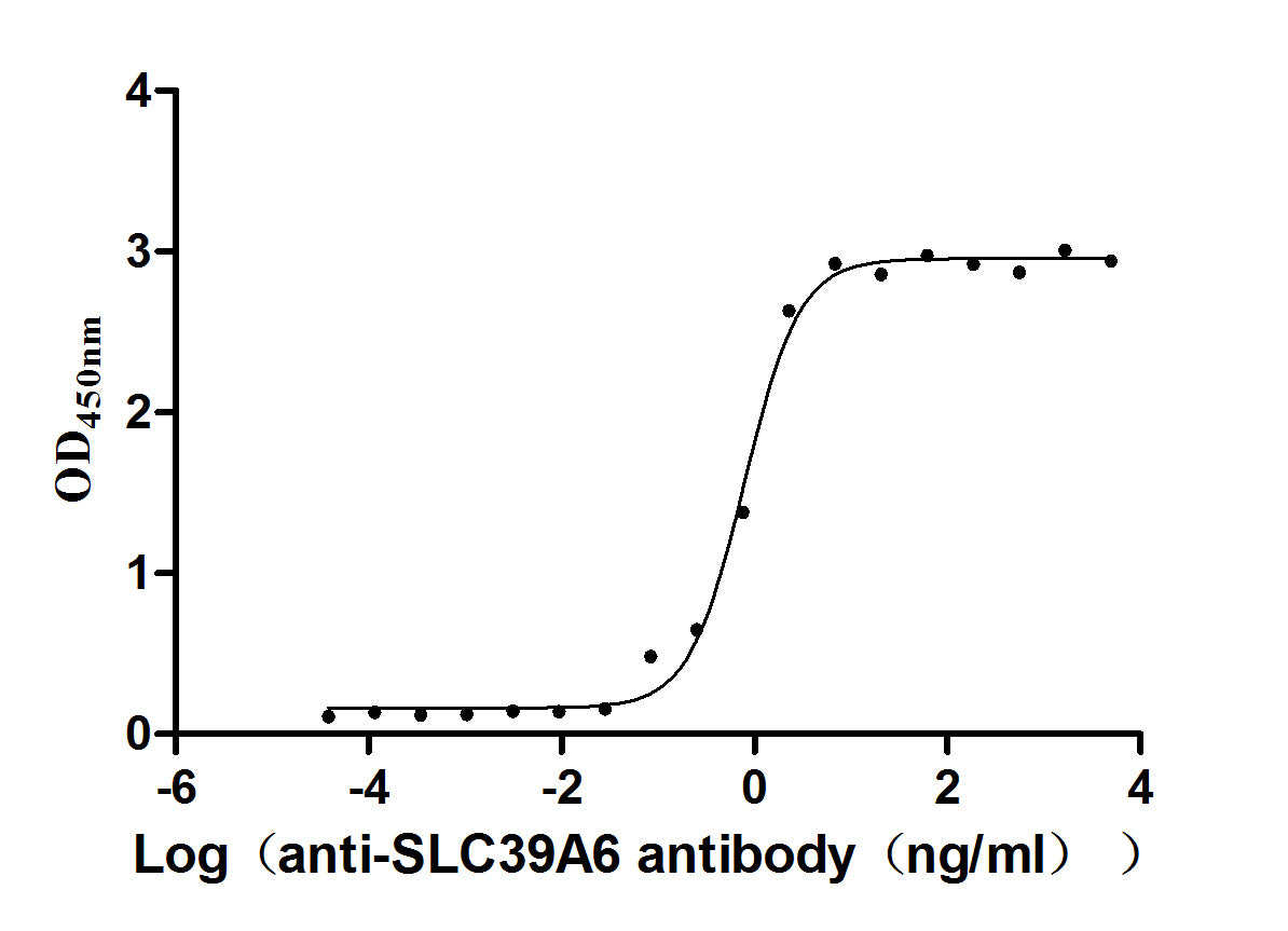 SLC39A6 Recombinant Monoclonal Antibody