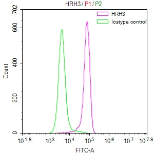 HRH3 Recombinant Monoclonal Antibody