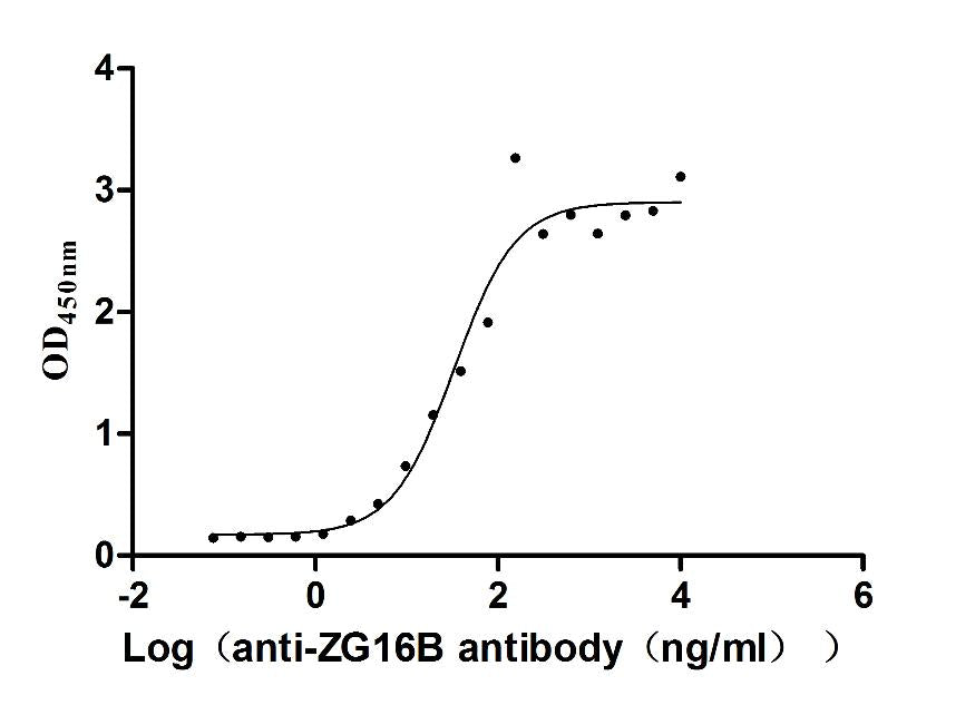 ZG16B Recombinant Monoclonal Antibody