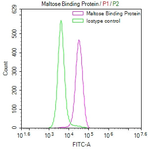 malE Recombinant Monoclonal Antibody