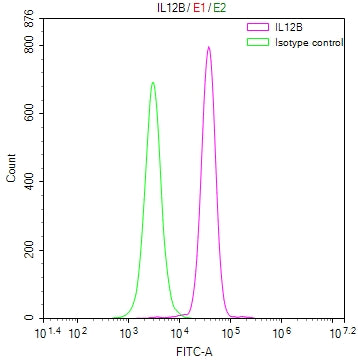 IL12B Recombinant Monoclonal Antibody