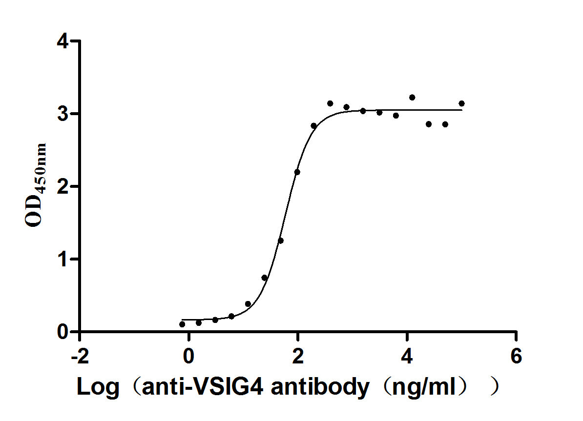 VSIG4 Recombinant Monoclonal Antibody