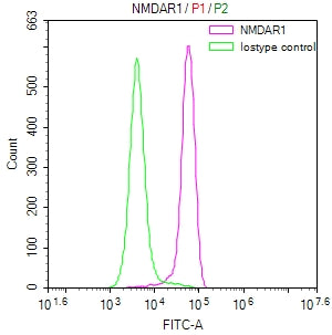 GRIN1 Recombinant Monoclonal Antibody