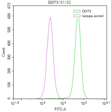 DDIT3 Recombinant Monoclonal Antibody