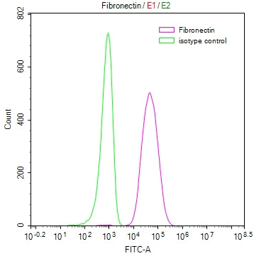 FN1 Recombinant Monoclonal Antibody