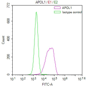 APOL1 Recombinant Monoclonal Antibody