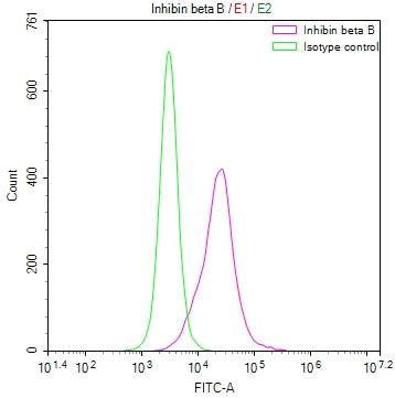 INHBB Recombinant Monoclonal Antibody