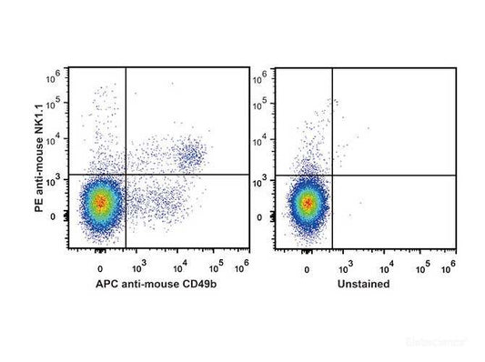 PE Anti-Mouse CD161/NK1.1 Antibody[PK136]