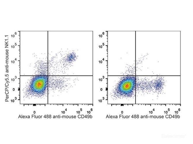 C57BL/6 murine splenocytes are stained with PerCP-Cyanine5.5 Anti-Mouse CD161/NK1.1Antibody [Used at 0.2 μg/10<sup>6</sup> cells dilution] and AF488 Anti-Mouse CD49b Antibody. Splenocytes stained with AF488 Anti-Mouse CD49b Antibody(Right) are used as control.