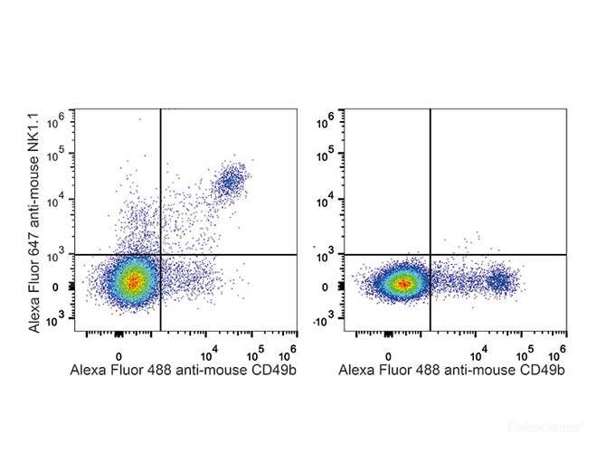 C57BL/6 murine splenocytes are stained with AF646 Anti-Mouse CD161/NK1.1 Antibody[Used at 0.2 μg/10<sup>6</sup> cells dilution] and AF488 Anti-Mouse CD49b Antibody. Splenocytes stained with AF488 Anti-Mouse CD49b Antibody(Right) are used as control.